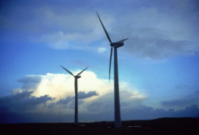 Drift and Budweiser Partner to Increase Renewable Energy Use 
