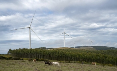 España 2020, el país con 110.000 megavatios de potencia eléctrica y un máximo de demanda de 40.000