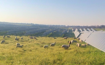 Luz verde para casi 1.000 megavatios fotovoltaicos de Solaria