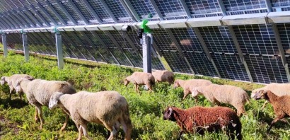Endesa produce por primera vez más energía solar que eólica en Andalucía