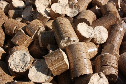 Talentya firma un acuerdo de PPA con Bioenergy Ibérica para su planta de pellets en Lugo