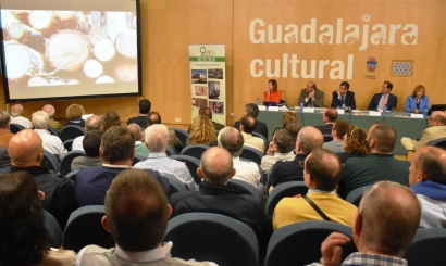 Guadalajara tendrá en dos años su red de calor con biomasa
