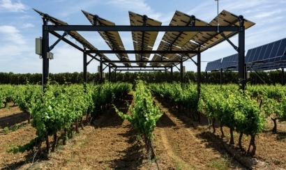 Solargreen construirá en Colombia una planta solar de 180 MW, la mitad de ella agrovoltaica