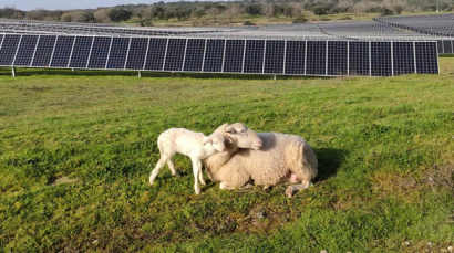 El ministro luso de Medio Ambiente inaugurará el 17 de mayo las cuatro plantas fotovoltaicas de Solaria en Portugal