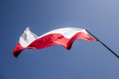 Polonia convoca una subasta de mil megavatios eólicos terrestres