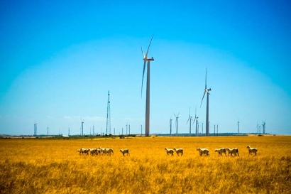 Iberdrola instalará 50,5 megavatios eólicos en Polonia