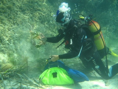 La energía y el medio ambiente marino se citan en Red Eléctrica de España