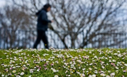 El "informe climático" del invierno 2019 de la Agencia Estatal de Meteorología, lleno de alertas