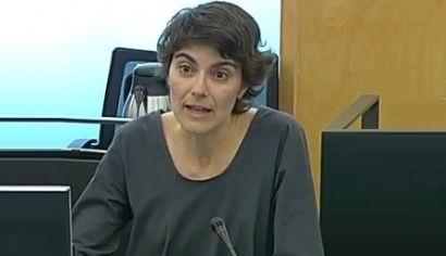 ¿Por qué el ministro de Energía no ha tenido en cuenta los informes de Competencia a la hora de organizar la subasta?