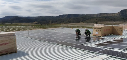 La empresa frutícola que reduce su factura hasta en un 30% con su instalación de autoconsumo solar