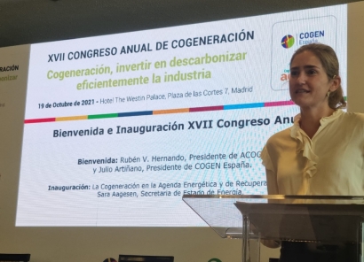 La subasta de cogeneración que ha anunciado hoy el Ministerio conllevará inversiones de más de 700 millones de euros