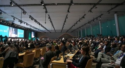 La Cumbre Mundial del Clima de Bakú deja una "profunda decepción" en SEO/BirdLife