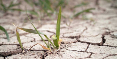 El Supremo da luz verde al primer litigio climático contra el Gobierno español