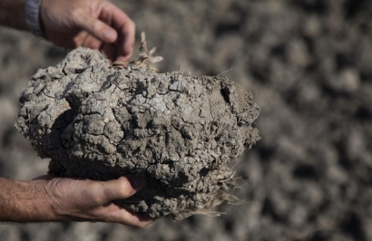 Vox promete derogar la ley de cambio climático