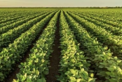 Argentina: 2022 cerrará con un récord de exportaciones de biodiésel y bioetanol