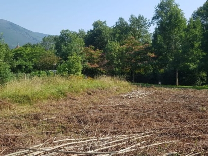 Navarra cuenta con casi un 60% de sus terrenos forestales certificados como sostenibles