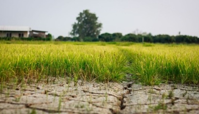 Rapapolvo del Tribunal de Cuentas Europeo a la Alianza Mundial contra el Cambio Climático