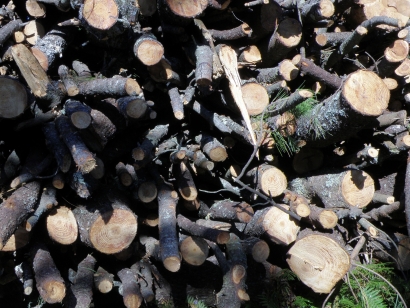 Asturias autoriza la instalación de una planta de biomasa eléctrica