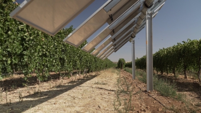 Iberdrola pone en marcha la primera planta agrovoltaica inteligente de España