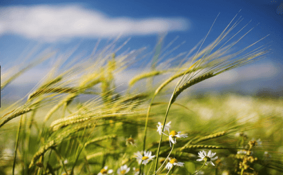 El 15 de junio es el Día Mundial del Viento