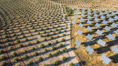 Los megaparques solares devuelven la naturaleza al campo y llenan las arcas locales