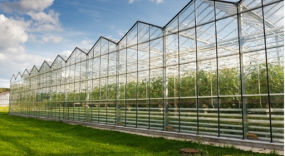 Wastewater at the Heart of Multi-Billion Pound Plan to Decarbonize British Horticulture