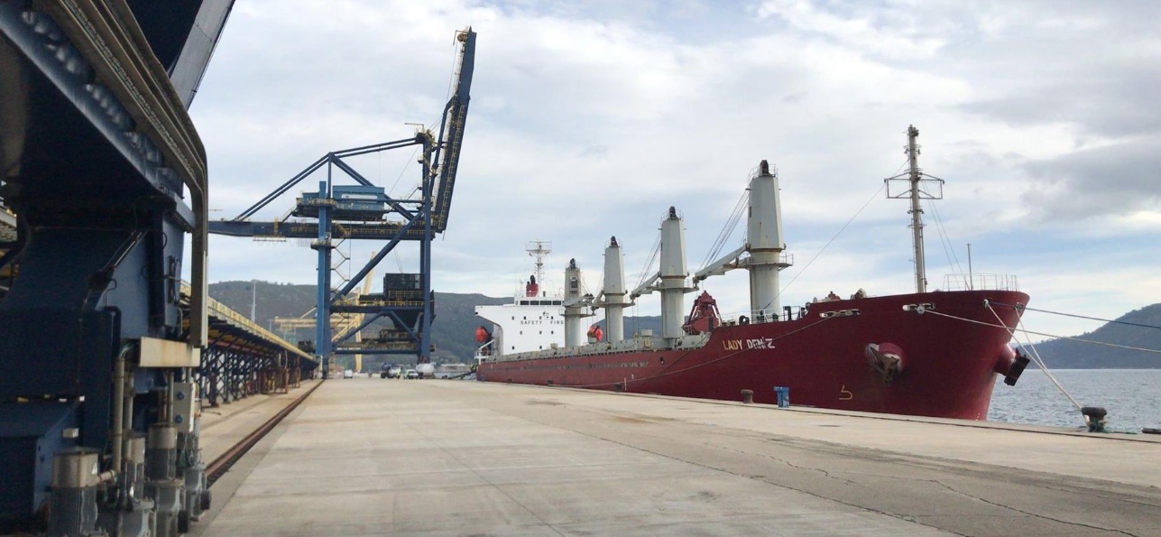 Atraca en Ferrol un buque con 20.000 toneladas de carbón para la central de Endesa en As Pontes