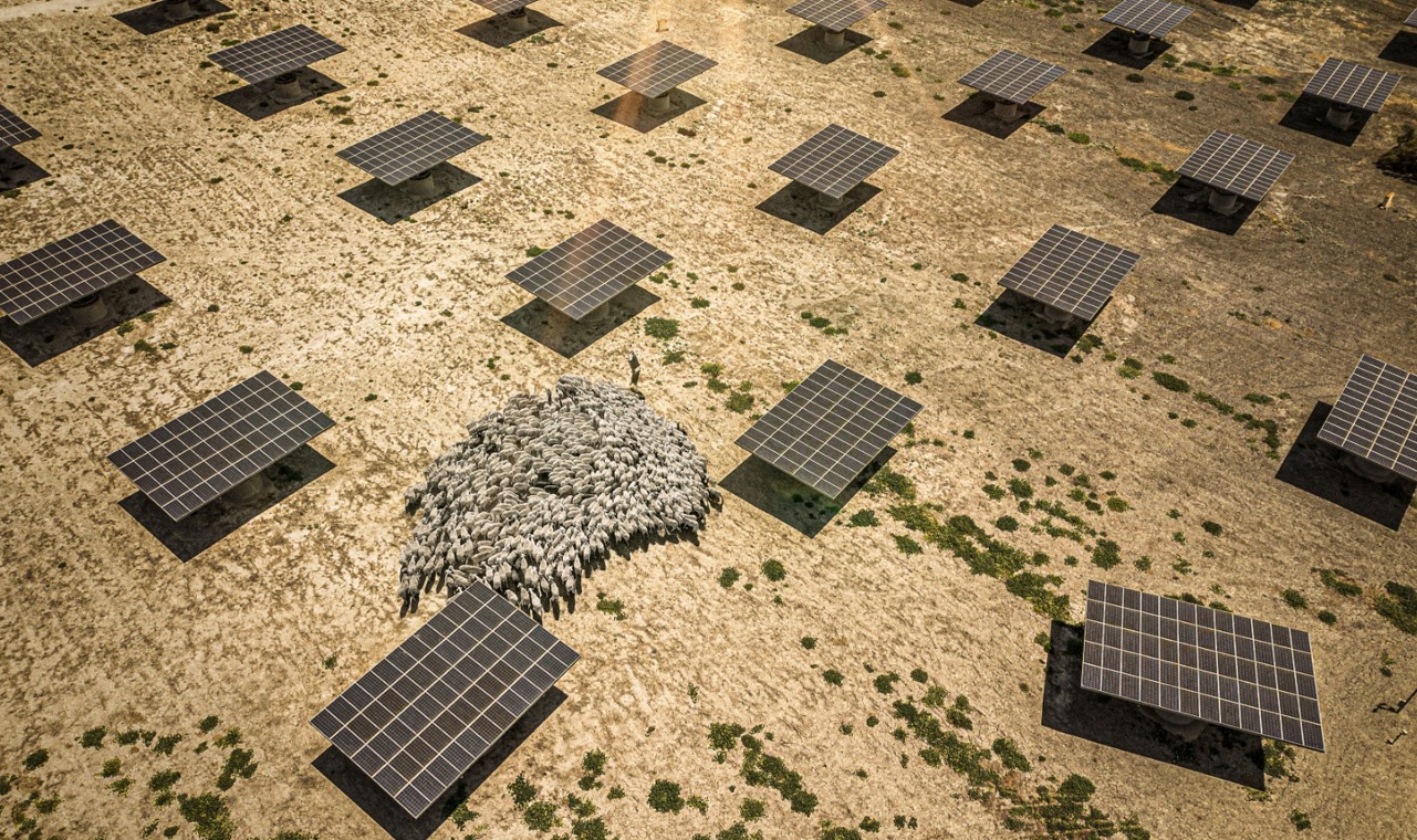 La gran batalla REN del 26