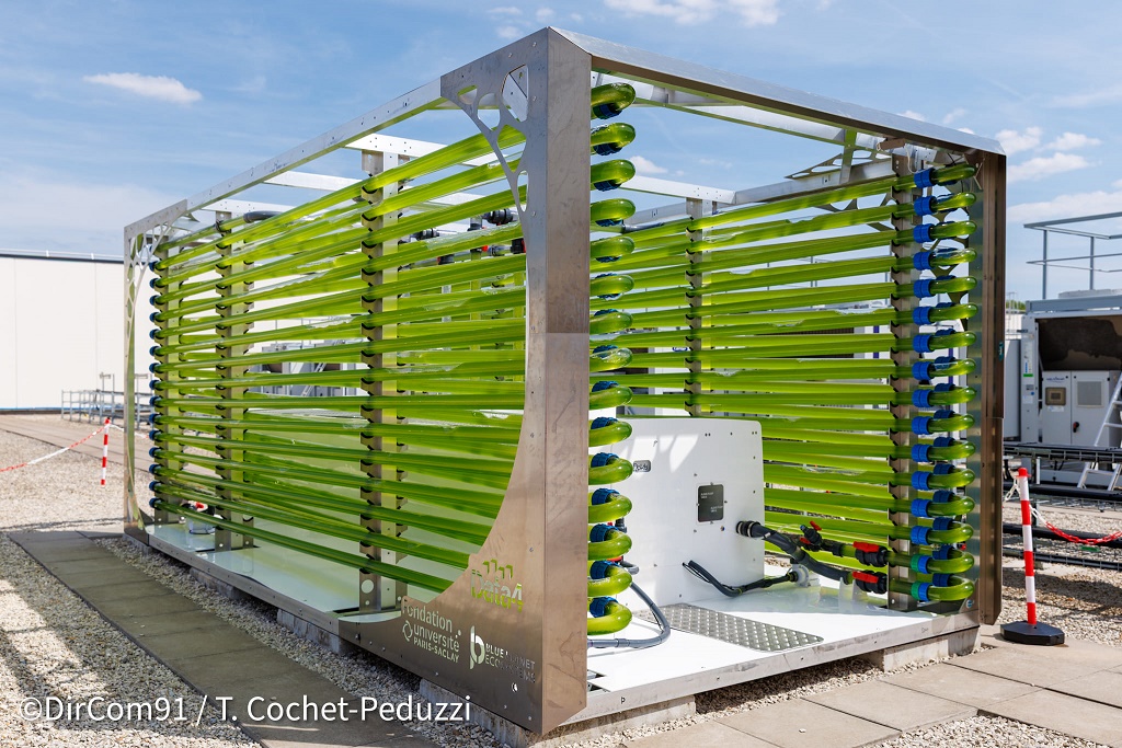 Francia quiere aprovechar el calor residual de los centros de datos para producir biomasa de algas