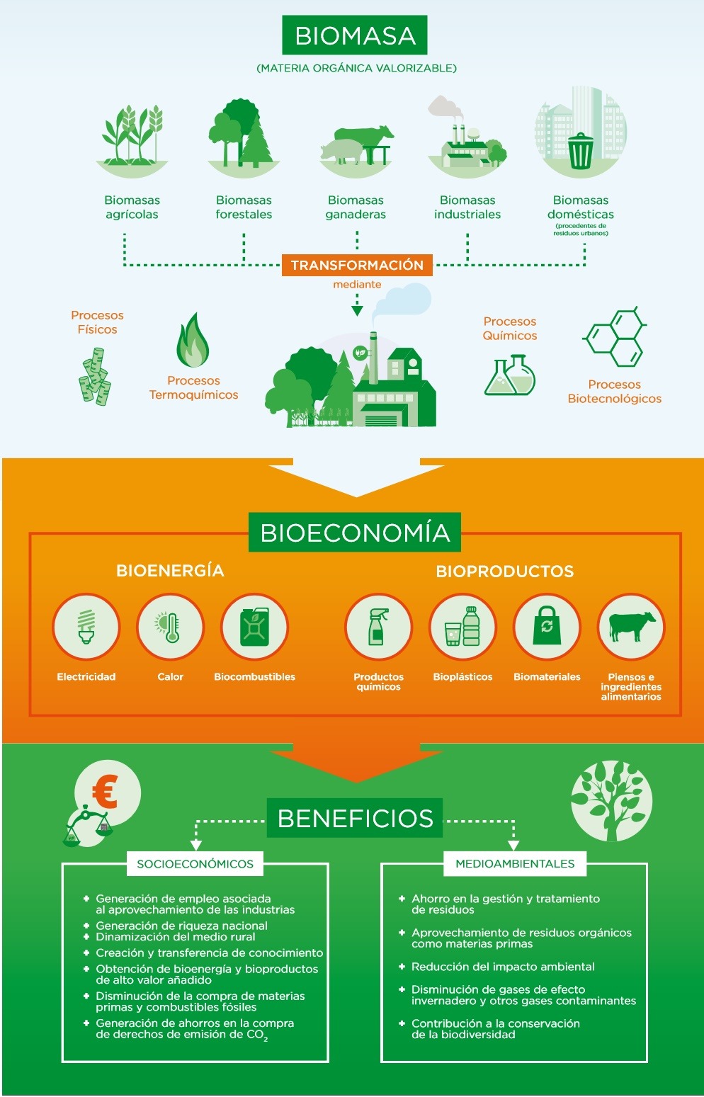 qué es la bioeconomía