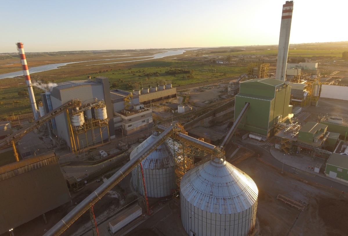 Magnon supera la generación de 1.240 GWh de energía renovable en 2025