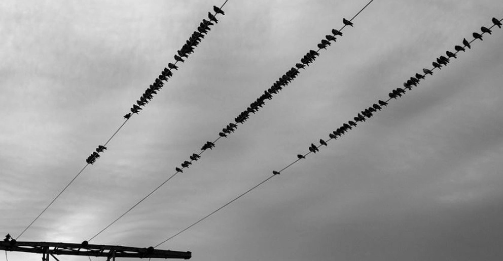 Iberdrola, Endesa y EDP acusan a Red Eléctrica de obstaculizar la investigación del apagón