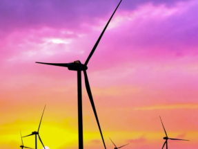 Gazelle Selected as a 2021 Portfolio Company by Norwegian Investment Company Katapult Group