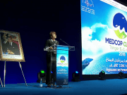 Cursos gratuitos sobre renovables para profesionales de la energía de los países mediterráneos