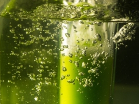 EPA’s 2019 Cellulosic Biofuel Volume Will Increase RNG Project Development According to RNG Coalition