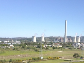 El Gobierno "confía" en que As Pontes podrá quemar biomasa en lugar de carbón