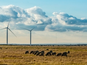 Acciona pone en marcha su cuarto parque eólico en Australia