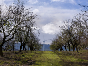 Forestalia se adjudica 778 MW en la subasta y afirma que los precios ofrecidos son competitivos