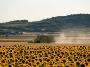 Navarra convoca ayudas para explotaciones agrícolas y ganaderas por valor de 118.579 euros