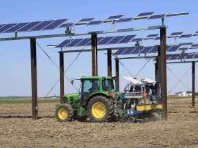 Investigadores de EEUU introducen mejoras en la agrivoltaica para optimizar los cultivos y la generación solar