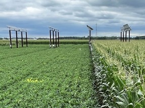 Purdue University Utilizes Solar Power at Lower Cost With Minimal Impact on Crop Yield