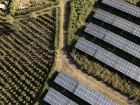 Portugal se adentra en la agrovoltaica con el proyecto FruitPV