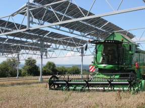 En el mundo ya hay instalados 2,9 GW en agrovoltaica