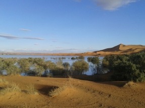 
Agua para el desierto gracias a la energía solar

 