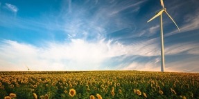 Alianza Verde reclama más ambición climática en los objetivos energéticos del Pniec