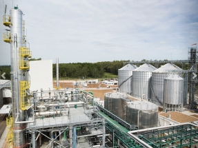 Alcoholes de Uruguay, ALUR, lanza una oferta millonaria para la producción de biocombustibles