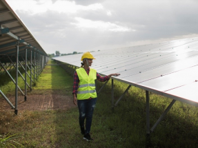 Un sentencia estipula en 35 años la vida útil de las plantas solares fotovoltaicas