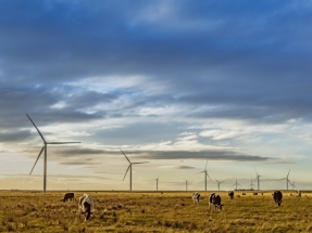 Acciona firma su primer contrato corporativo de compraventa de electricidad renovable en Australia