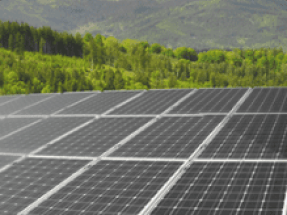 Avaada Energy Wins Solar Project From Ruvnl Avaada Energy Wins Solar Project From Ruvnl