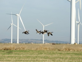 El 86% de las compañías energéticas utiliza modelos de gestión de riesgos orientados a la creación de valor para el accionista